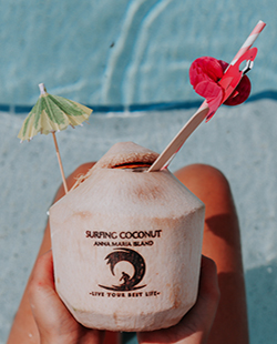 Surfing Coconut | AMI Activities